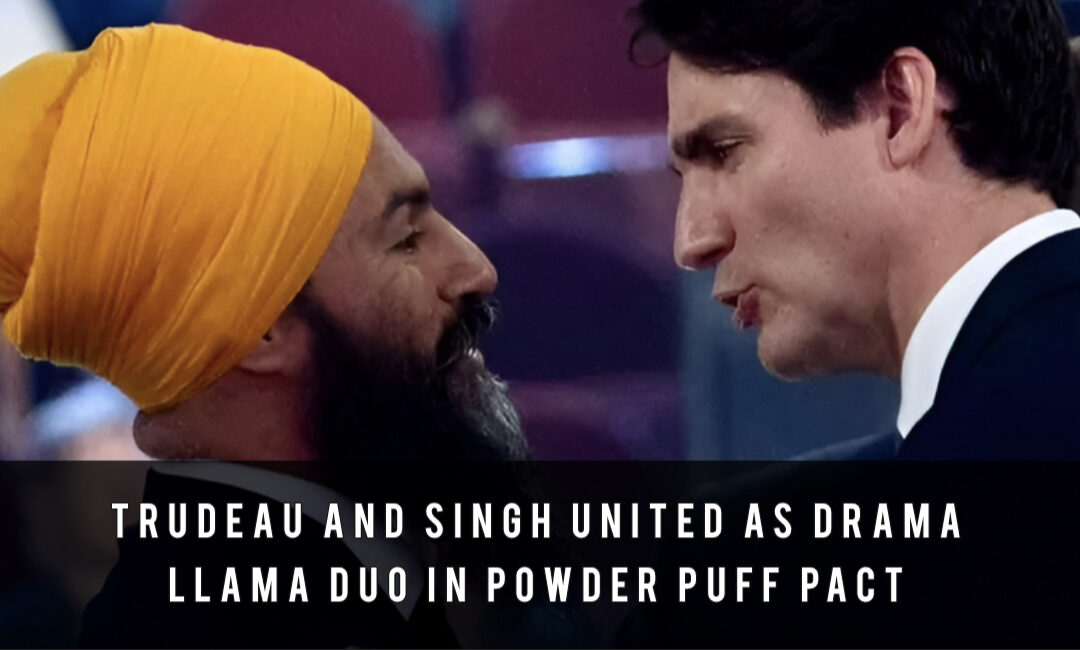 Trudeau and Singh United as Drama Llama Duo in Powder Puff Pact
